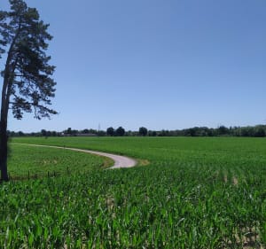 Immersion entre zone humide et champs - Moulins - 2