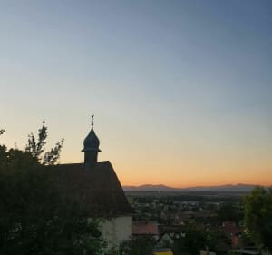 Hirsingue - Hirtzbach : champs, forêt et coucher de soleil - Hirtzbach - 2