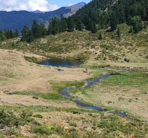 Étang de Comte - Mérens-les-Vals - 2