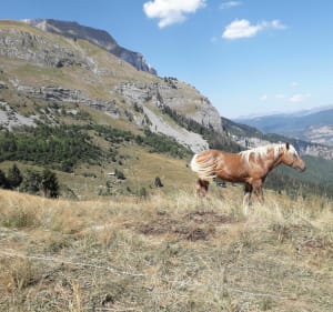 Mayères : jolie rando en balcon sur le Mont-Blanc - Sallanches - 5