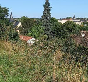 Jolie balade dans la campagne de Thenay - Thenay - 2