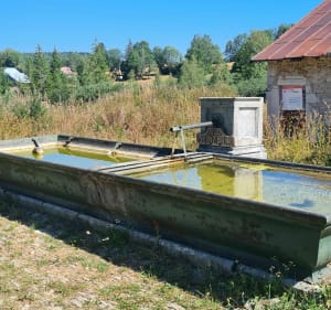 Petit tour du lac de fort du plasne - Fort-du-Plasne - 2