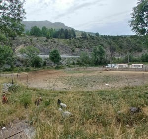 Van het dorp Peone naar het gehucht Baumette langs de Tuebi - Péone - 2