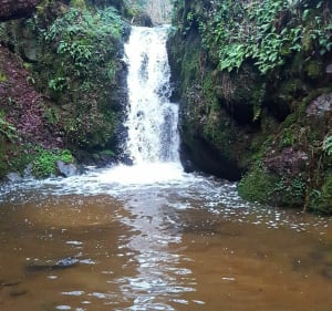 Sentier des Apages - Enval - 3