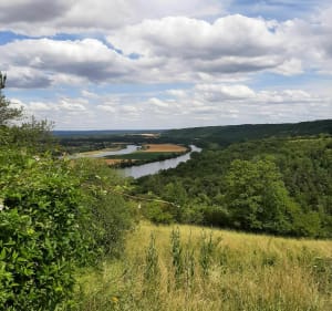 Boucles de la Seine ( Vironvay) - Vironvay - 2