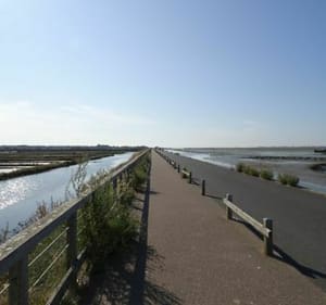 Boucle du camping au centre-ville par la jetée et les marais - Noirmoutier-en-l'Île - 2