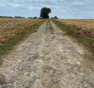 Sotteville-sur-Mer - Sotteville-sur-Mer - 2