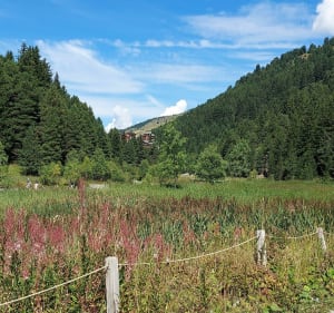 Balade autour du lac de Tueda (Mottaret-Méribel) - Les Allues - 4