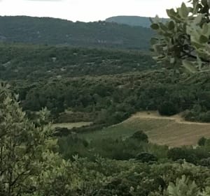 Belle promenade en hauteur de Montsalier - Montsalier - 2