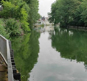 Lambres Lez Douai ballade au bord de la Scarpe - Lambres lez Douai - 2