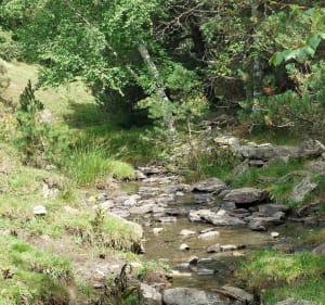 Boucle d'Estany de Font Viva et ses cascades - REMI - 3