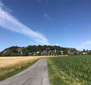 Incontournable Mont-Dol et balade champêtre - Mont-Dol - 4