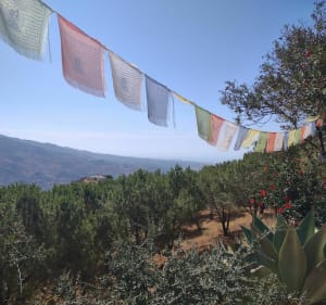 Balade au Stupa kalachakra de Vélez Málaga - 4
