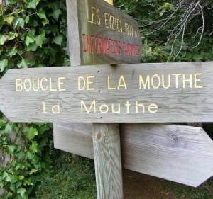 Boucle de la Mouthe au dessus du village des Eyzies - Les Eyzies - 3