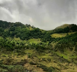 Boucle de l'étang de Lers : sentier découverte faune flore - Sentenac - 2