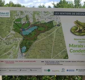 Meer van Spiegels - Condette - 2
