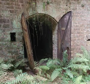 Fort de la Mouche - Loic - 2