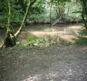 Balade le long du canal de la papeterie à Lestonan - Ergué-Gabéric - 2