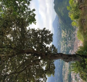 Les premiers km du GR-107 Foix 09 - Foix - 4