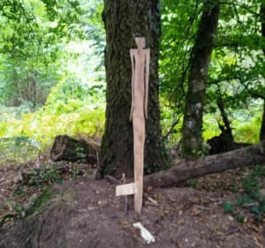Entre lac et forêt - Compreignac - 2
