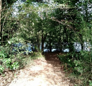 Marais du brivet - Sainte-Anne-sur-Brivet - 2