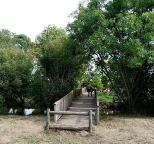 Marais du brivet - Marine - 4