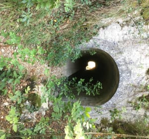 Via Aurelia et fraîcheur de la Cagne - La Gaude - 4
