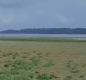 En direction du Cap Fréhel et la pointe de la Latte - Pierrick. - 2