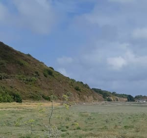 En direction du Cap Fréhel et la pointe de la Latte - Saint-Cast-le-Guildo - 2