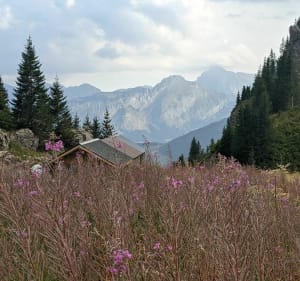 Randonnée au Lac de Tavaneuse depuis Prétairié - Abondance - 2