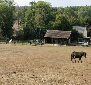 Aux alentours de Luzarches - Luzarches - 2