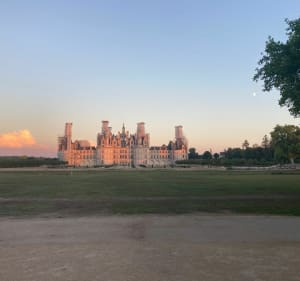 Balade à Chambord dans les bois, les vignes et ce beau château - Chambord - 2