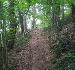 Tour de la garde de Mons depuis Vals - Vals-près-le-Puy - 4