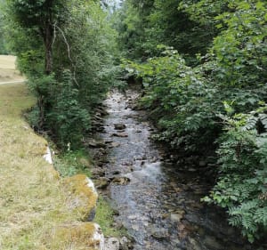 Loop naar Fond de France en de Pissou-waterval - Le Haut-Bréda - 2