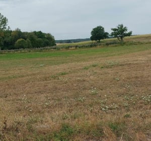 Petite boucle autour de Rehaincourt - Sabine - 4