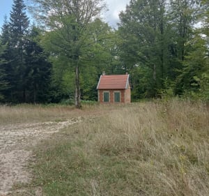 Balade par la bergerie - Roches-sur-Marne - 2