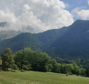 Van Talloires naar het Aulp-chalet - Talloires-Montmin - 2