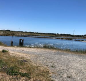 Découverte rapide d’une partie de l’île de Noirmoutier - barbâtre - 2