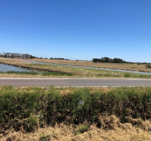 Découverte rapide d’une partie de l’île de Noirmoutier - Jeremy - 3