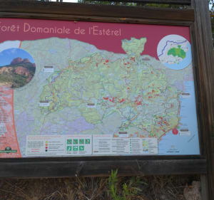 Sentier des senteurs du rocher Saint-Barthelemy - Saint-Raphaël - 2