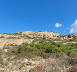 Randonnée au Mont Gozzi - Appietto - 2