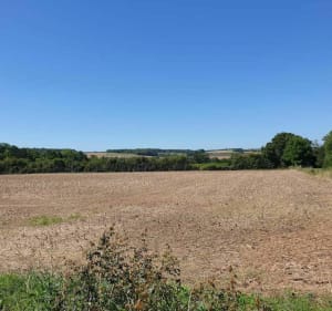 Belle balade autour de Chasseneuil dans l'Indre - Chasseneuil - 2