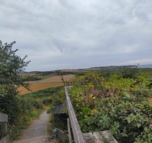 Belle Balade en famille sur le sentier du Fartz de Wissant - Wissant - 4