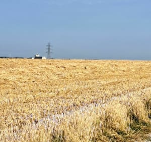 Balade Isberguoise - Isbergues - 2