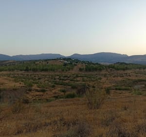 La Viñuela Málaga España - Viñuela - 5