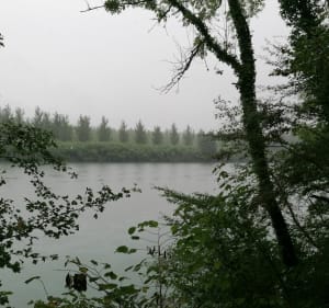 Sentier de la lône d'en l'île - Yenne - 2
