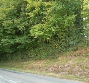 La Croisillienne - Croisilles - 2