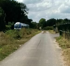 Parcours roulant Auchy les Hesdin- Aubin - Auchy-lès-Hesdin - 2