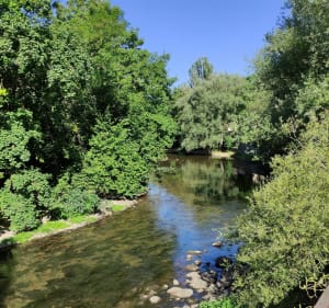 Dijon - kanaalhaven en Ouche-promenade - Dijon - 2