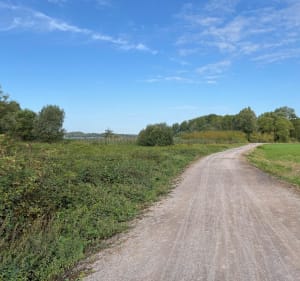 Promenade autour de l’étang de chabaud latour - Condé-sur-l'Escaut - 2